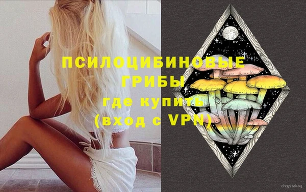 ПСИЛОЦИБИНОВЫЕ ГРИБЫ Белокуриха