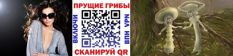 где купить наркоту  Выборг  Галлюциногенные грибы MAGIC MUSHROOMS 
